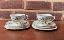 Colclough Stardust bone china
