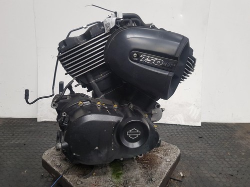 Harley davidson street rod - davidson,