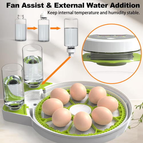 Egg incubator with temperature - incubator,