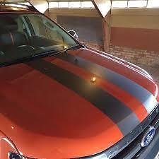 GLOSS GREY (A2) Twin Body