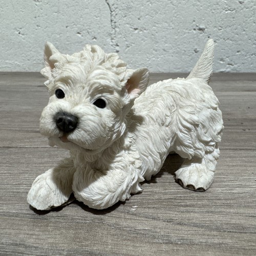 Westie highland terrier - westie,