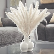 Pampas Grass 30-Piece Natural