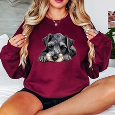 Miniature schnauzer dog breed - schnauzer,