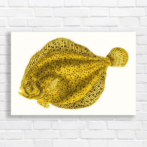 Exotic fish underwater nature - exotic,