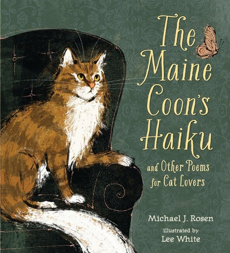 The maine coon haiku - maine, coon's