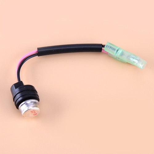 Hot temperature sensor - temperature,