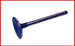 Exhaust valve for - valve, 205