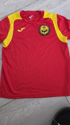Partick thistle childs - thistle,