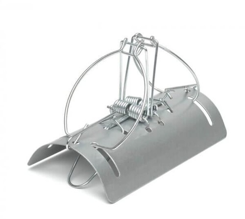 Double mole trap - mole,