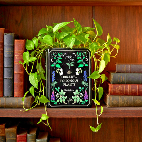 Gothic apothecary poisonous - gothic,