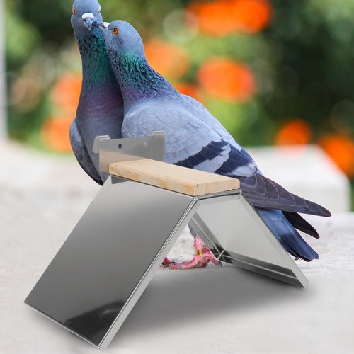 Pcs parrot perch stand - parrot,