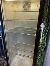 Osborne 2650 Upright Single Door Display Fridge - Wine/Beer/Cans,