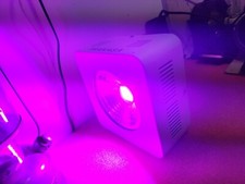 PRAKASA 100W LED INDOOR VEG FLOWER PLANT GREENHOUSE GROW LIGHT.