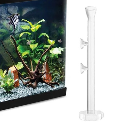 Glass clear shrimp feeding - glass,