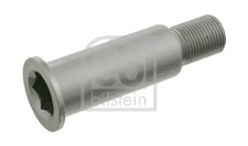 Pulley tensioner bearing pin