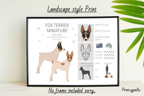 Toy fox terrier - terrier, a4