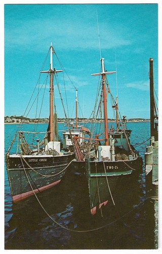 Cape cod massachusetts - cape, fishing