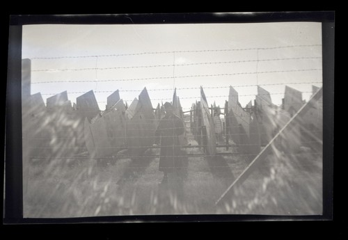 Raf negative airplane wings - negative,