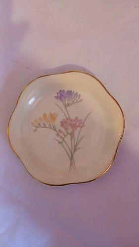 Royal worcester spode palissy - worcester,
