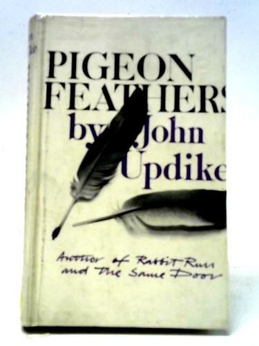 Pigeon feathers and other - feathers,