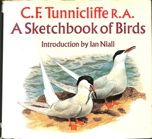 Sketchbook birds c f - birds,