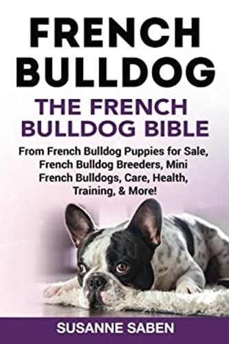 French bulldog the - french,