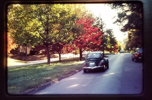 Volkswagen bug beetle color - vw,