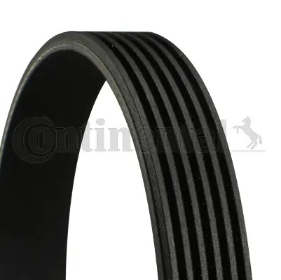 Ribbed belt fits opel - fits:,