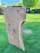 Large English Burr Oak Live