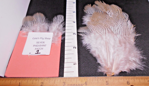 Silver pheasant feathers - silver,