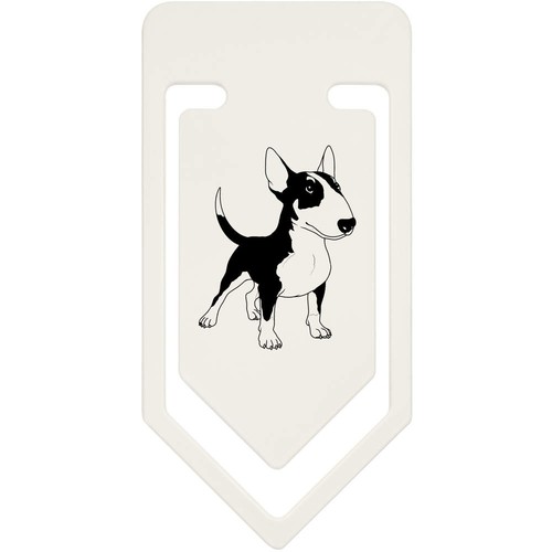 Standing bull terrier dog - 'standing,
