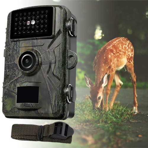 Wildlife trail camera 1080p - wildlife,