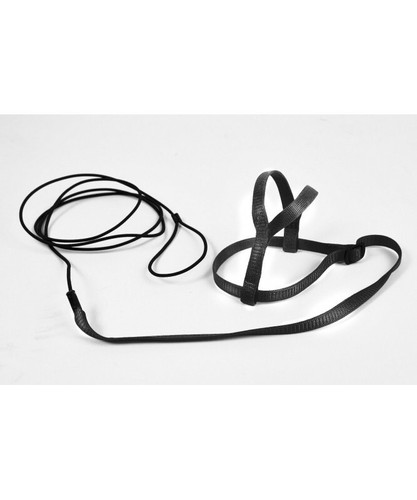 Avian adventure parrot harness - adventure,