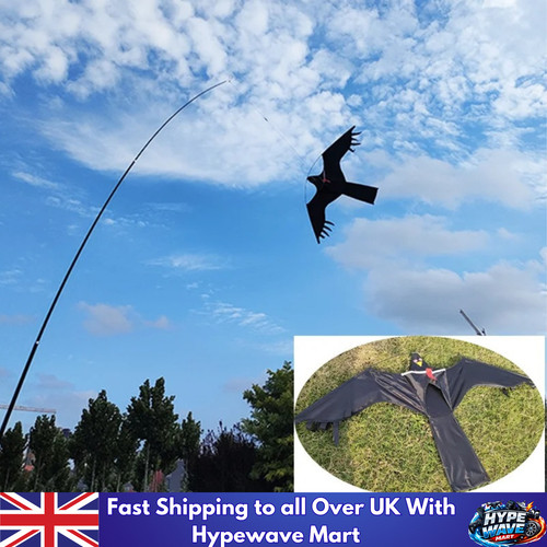 Inch eagle kite bird - kite,