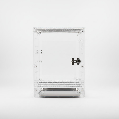 Clear acrylic bird - clear,