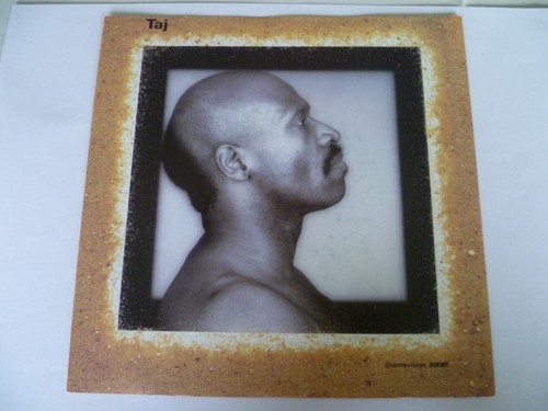 Taj mahal everybody is - taj,
