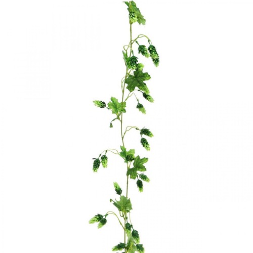 Hop garland garden - garland,
