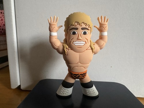 Flyin brian pillman micro - pillman,