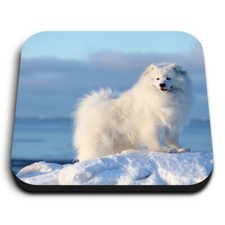 Square MDF Magnets - Samoyed