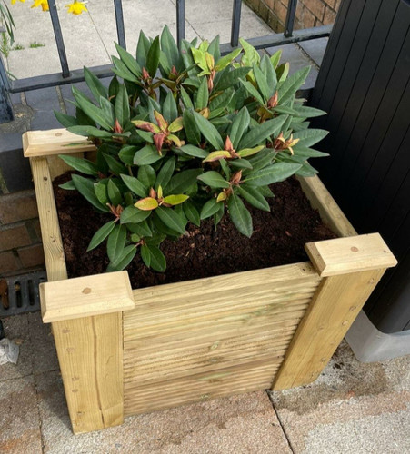 Square display planters - planters, |