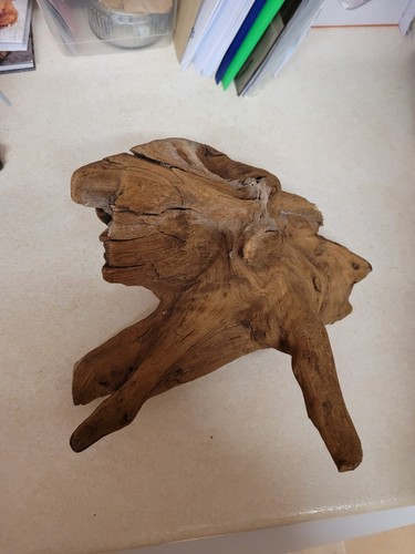Drift wood for - for, vivarium