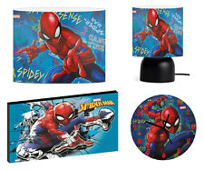 SPIDER-MAN spidey CEILING