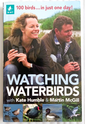 Watching waterbirds with kate - watching,