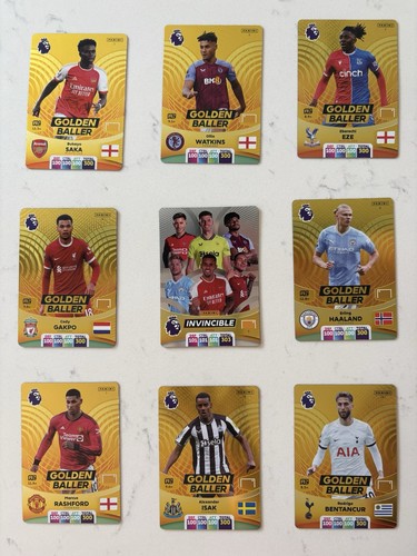 Panini premier league 2024