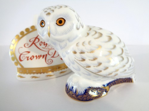 Royal crown derby snowy - snowy, owl