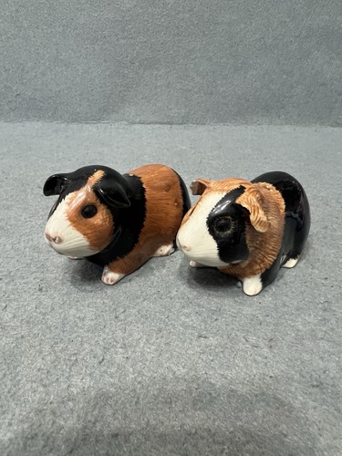 Guinea pig salt pepper - guinea,