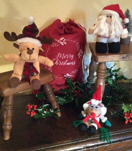 Father christmas reindeer - father,