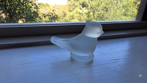 Ron ray glass bird frosted - ray,