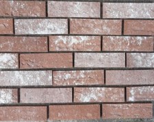 BRICK SLIPS BRICK TILES WALL