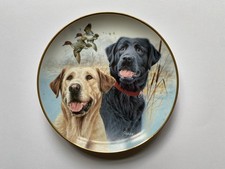 Labrador Dogs Collectors